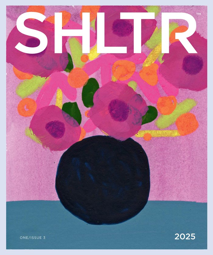 SHLTR Issue 3 cover