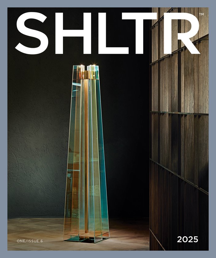 SHLTR Issue 6 cover